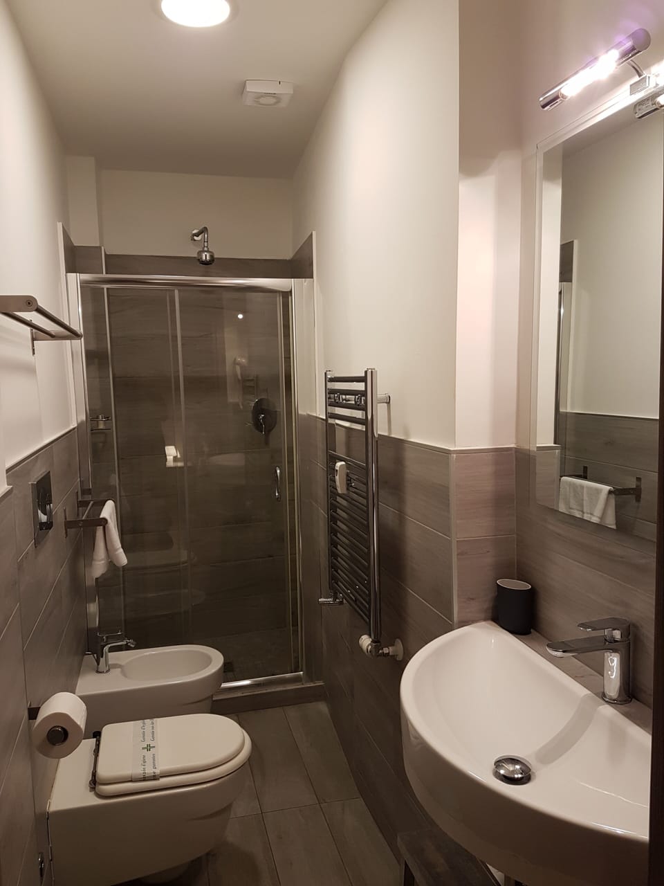 Premium Room | Bathroom | Shower, rainfall showerhead, free toiletries, hair dryer