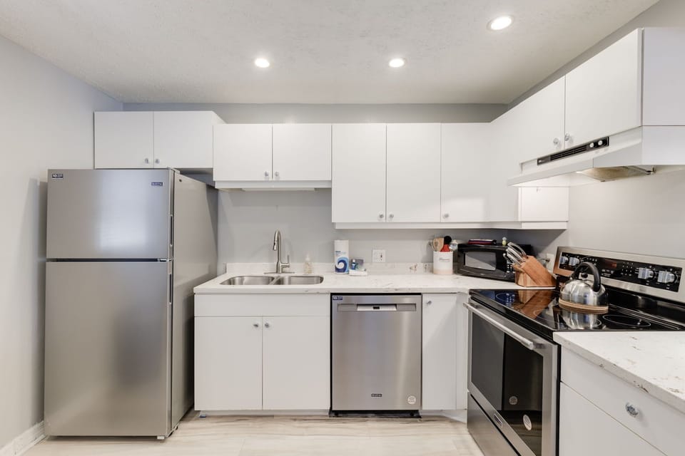 renovated kitchen with stainless appliances and quartz countertops (with glow in the dark sea animals built in)