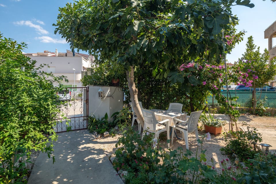 Patio with garden