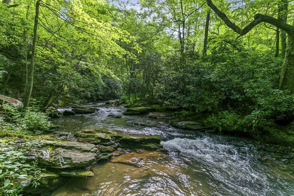 Walk to Creek