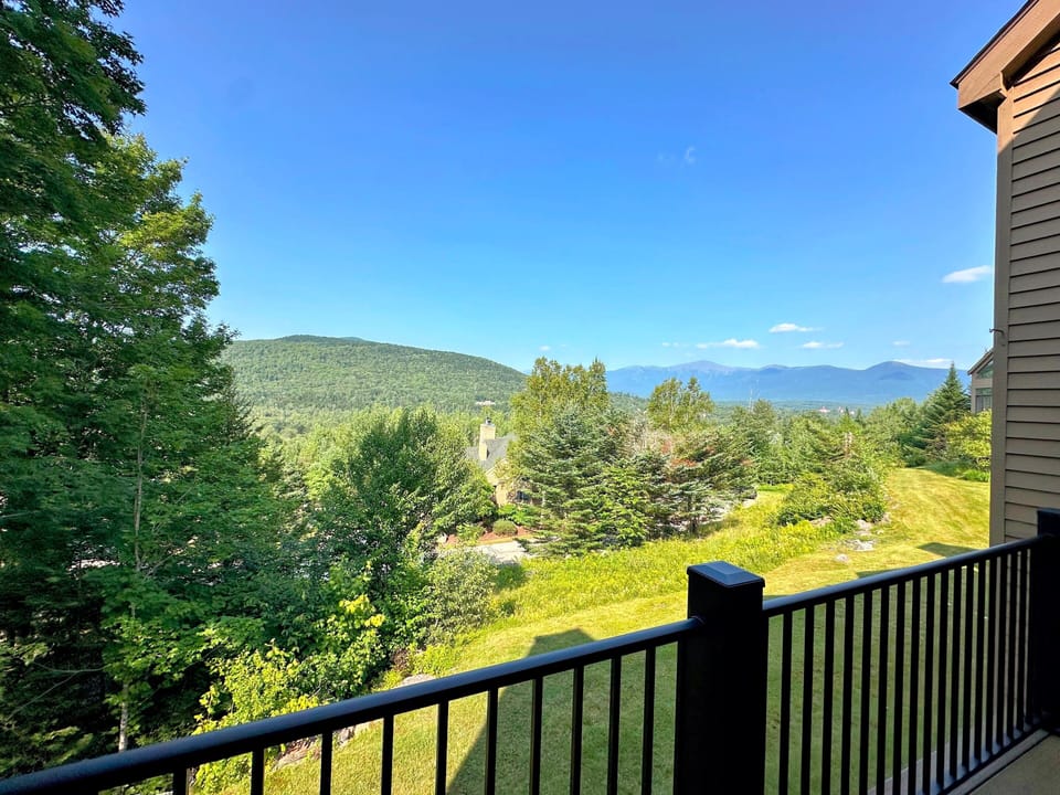 View from main level deck