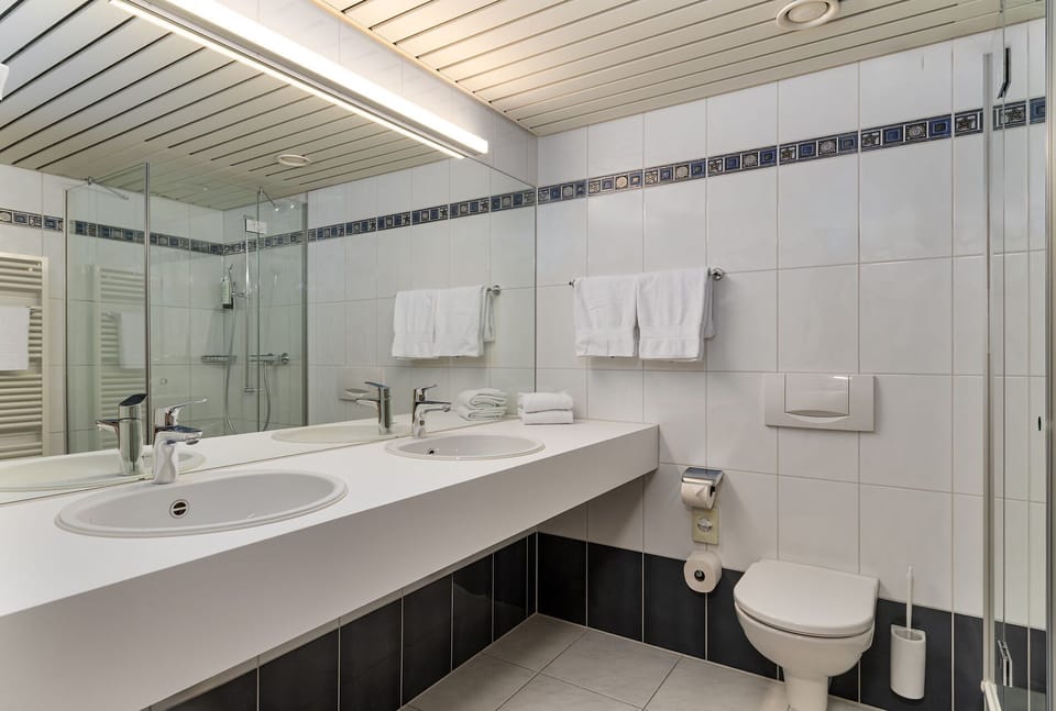 Standard Twin Room | Bathroom | Shower, hair dryer, towels, soap