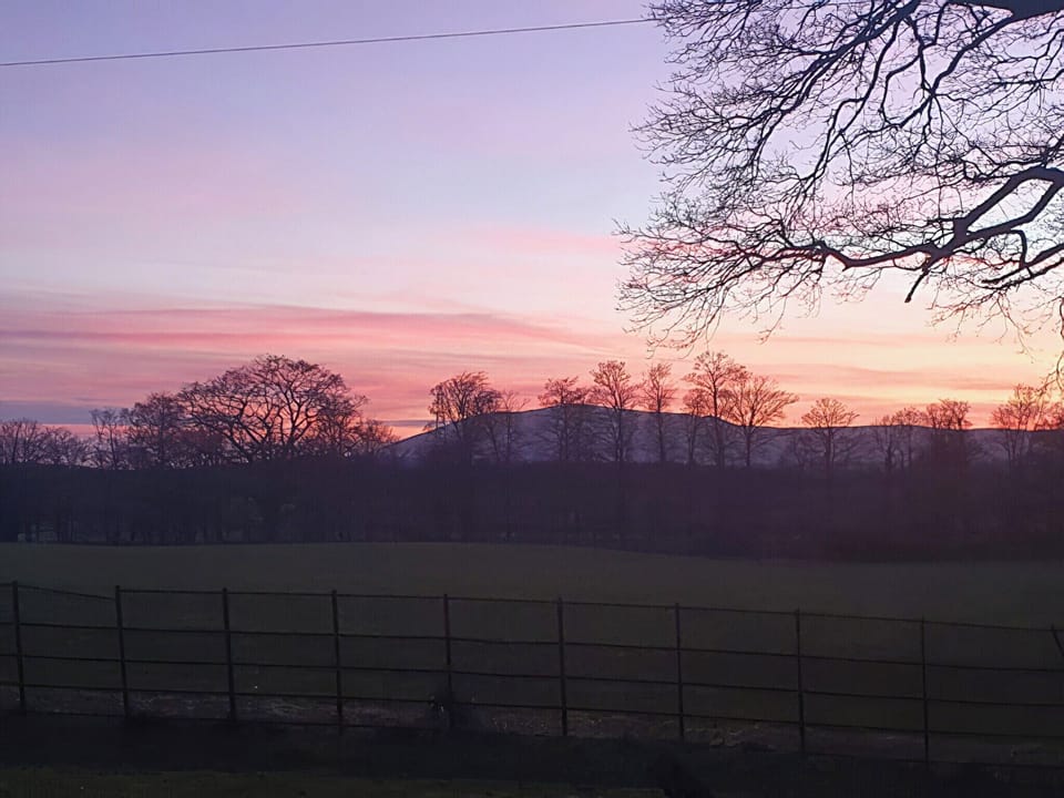 View | The Tranquil Orchard - Woodpecker Lodge - The Tranquil Orchard , Brocklehirst, near Dumfries