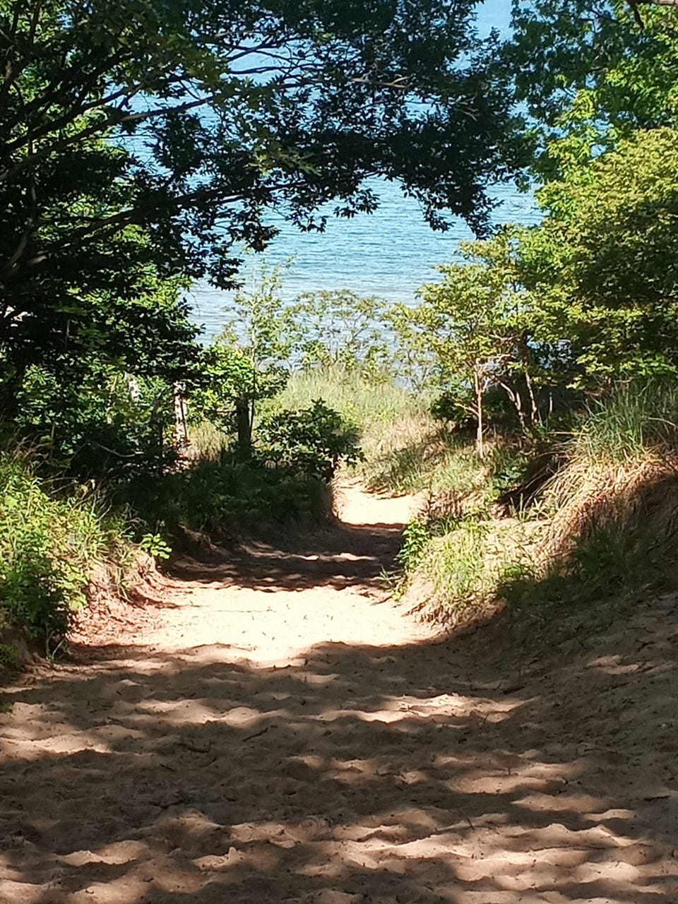 path down to Roadside Park Beach 