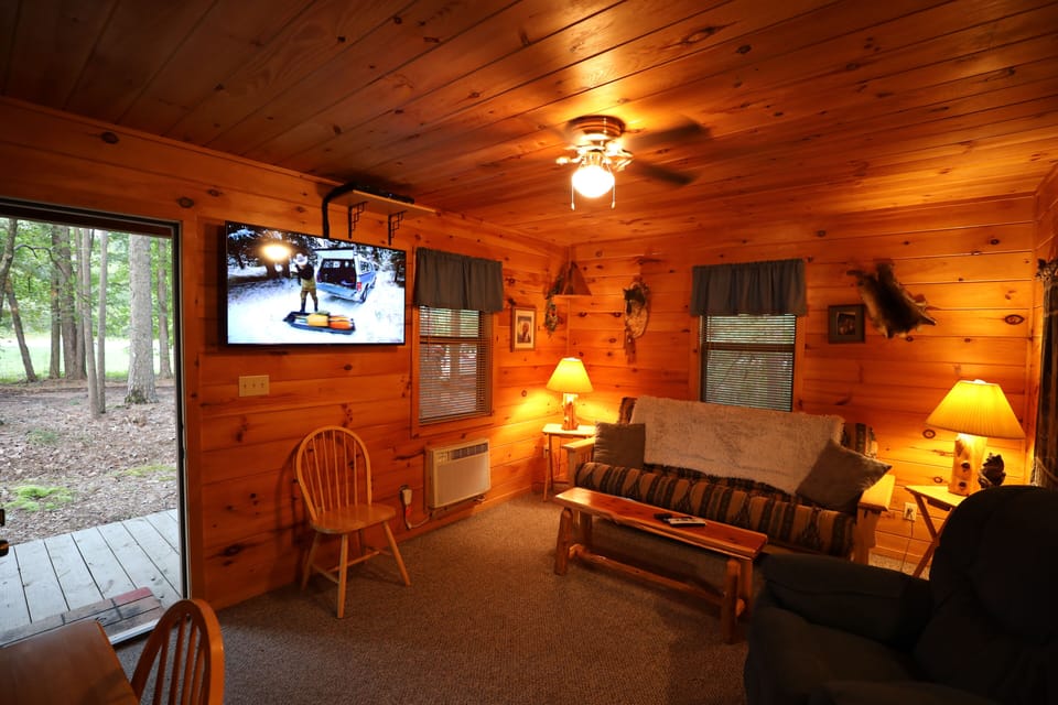 55 inch smart TV streaming capable with a sofa fold down couch sleeps 2 adults.