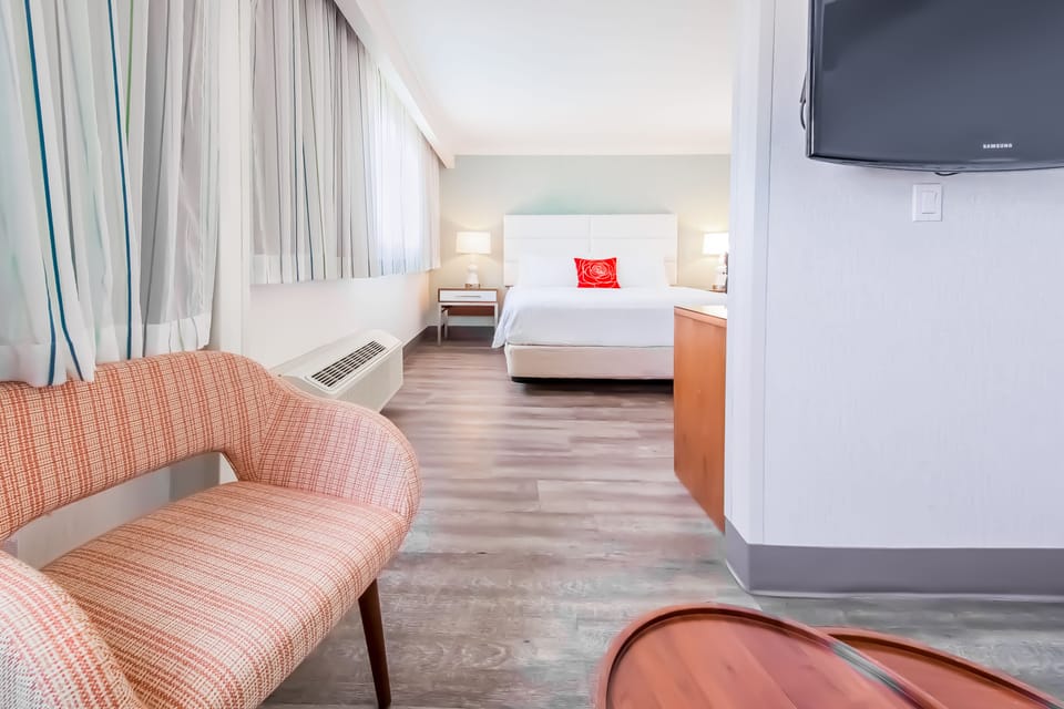 Deluxe Suite, Non Smoking (Sofa Bed) | In-room safe, individually decorated, individually furnished, desk