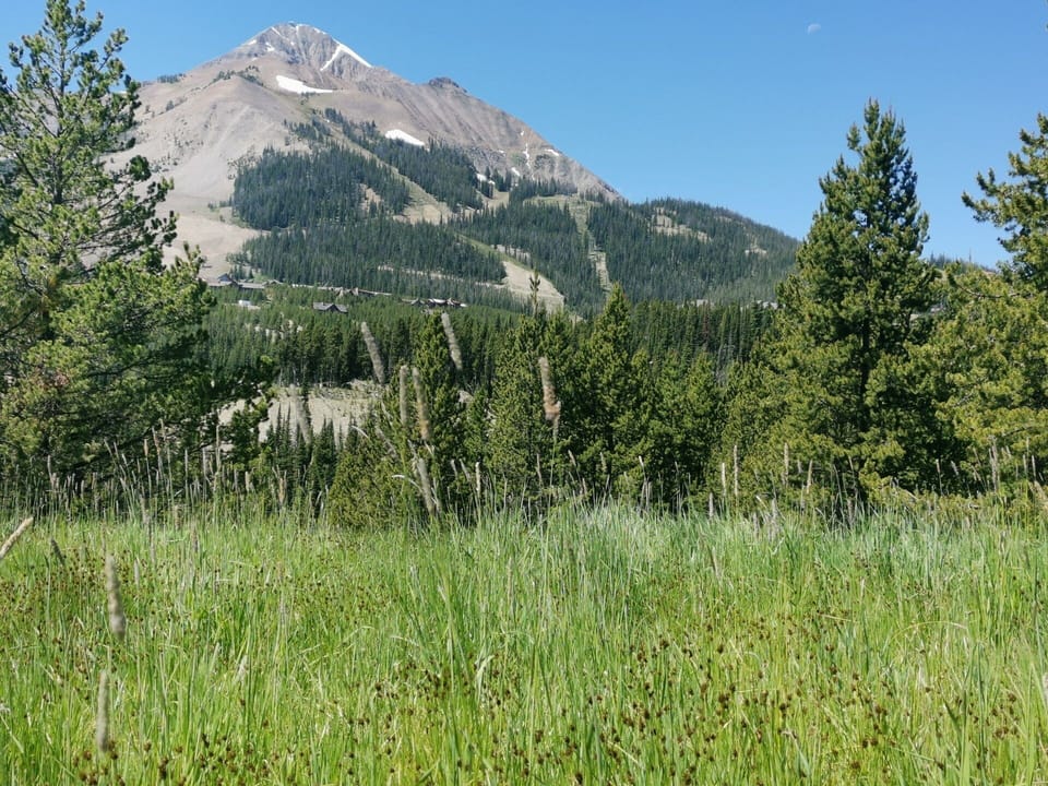 2 acres of private garden / parkland - with mountain views