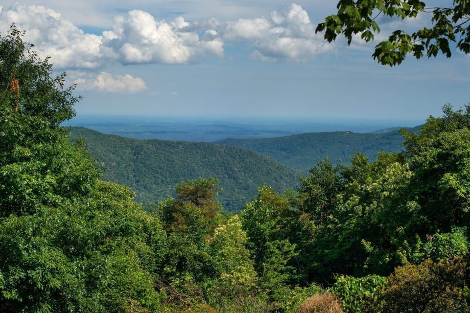 Gorgeous mountain view from the wrap around porch