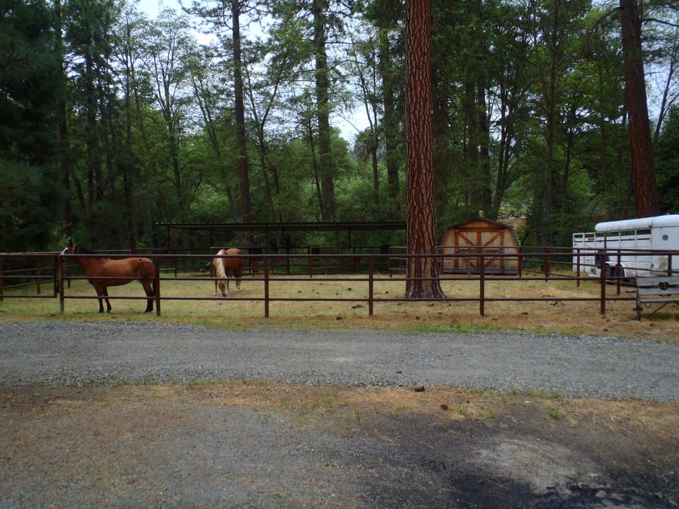 Horse corrals 