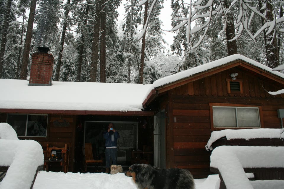 Back of cabin on a beautiful snowy day.