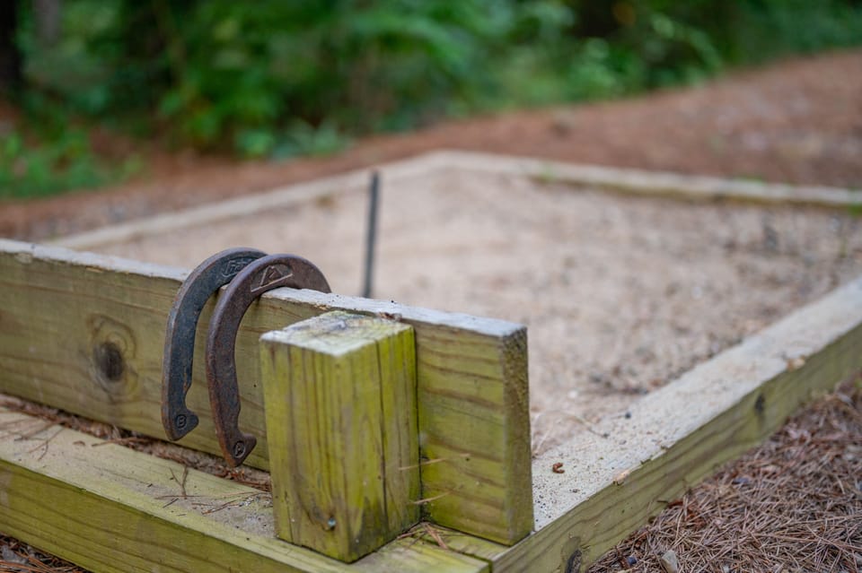 Horseshoes anyone?