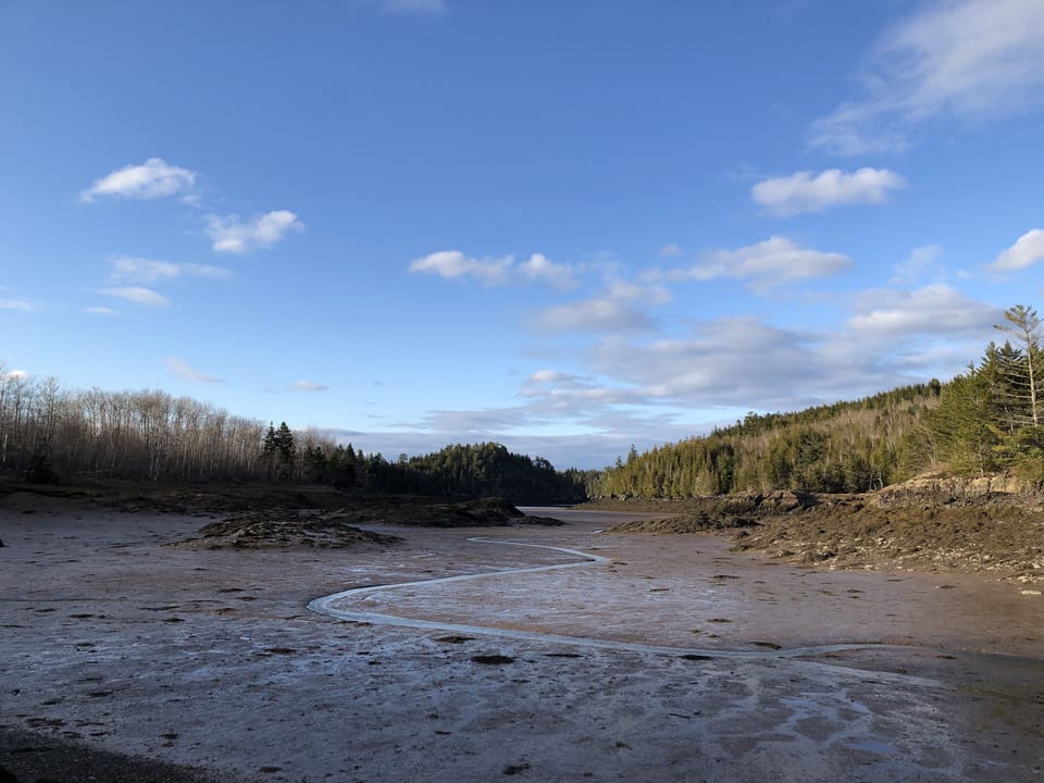 Low tide. 