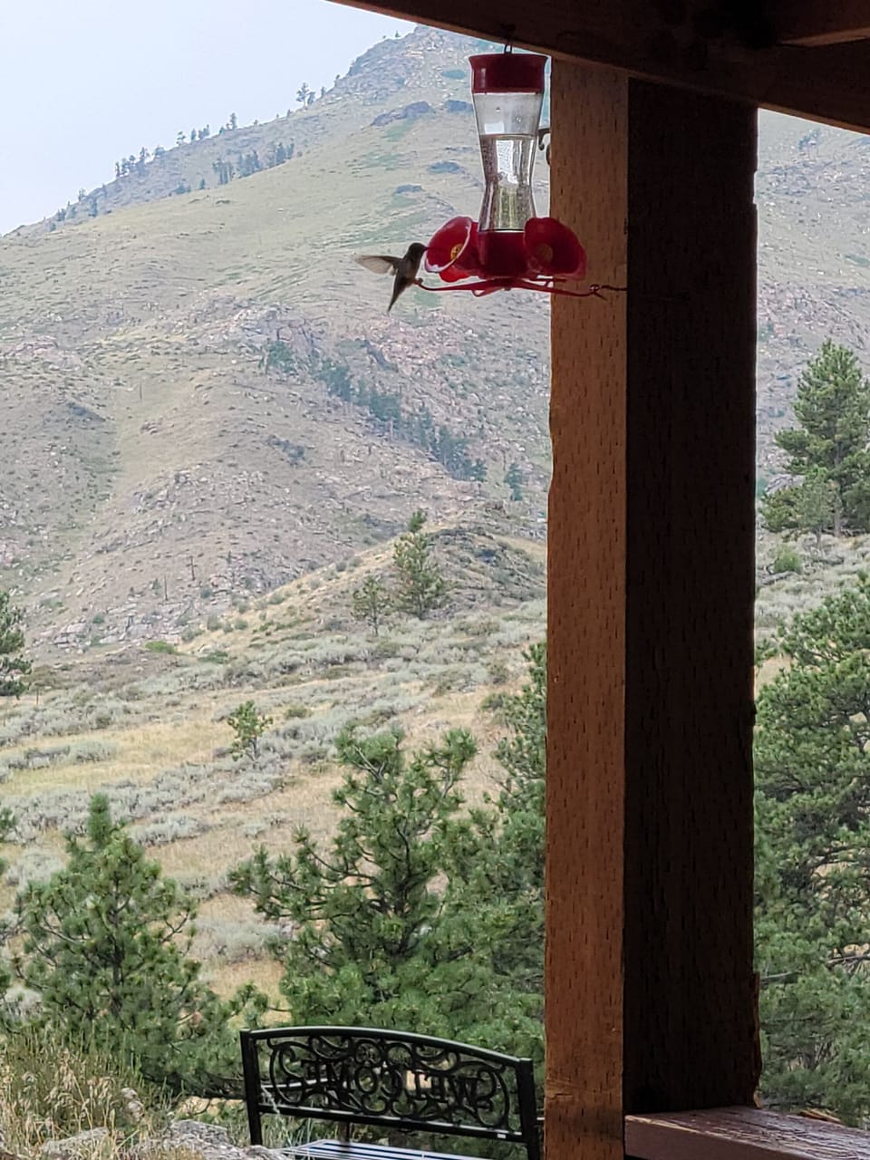 View from property