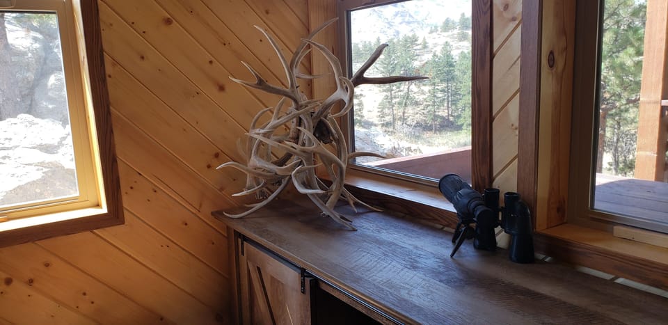Wildlife viewing room adjacent to the living room