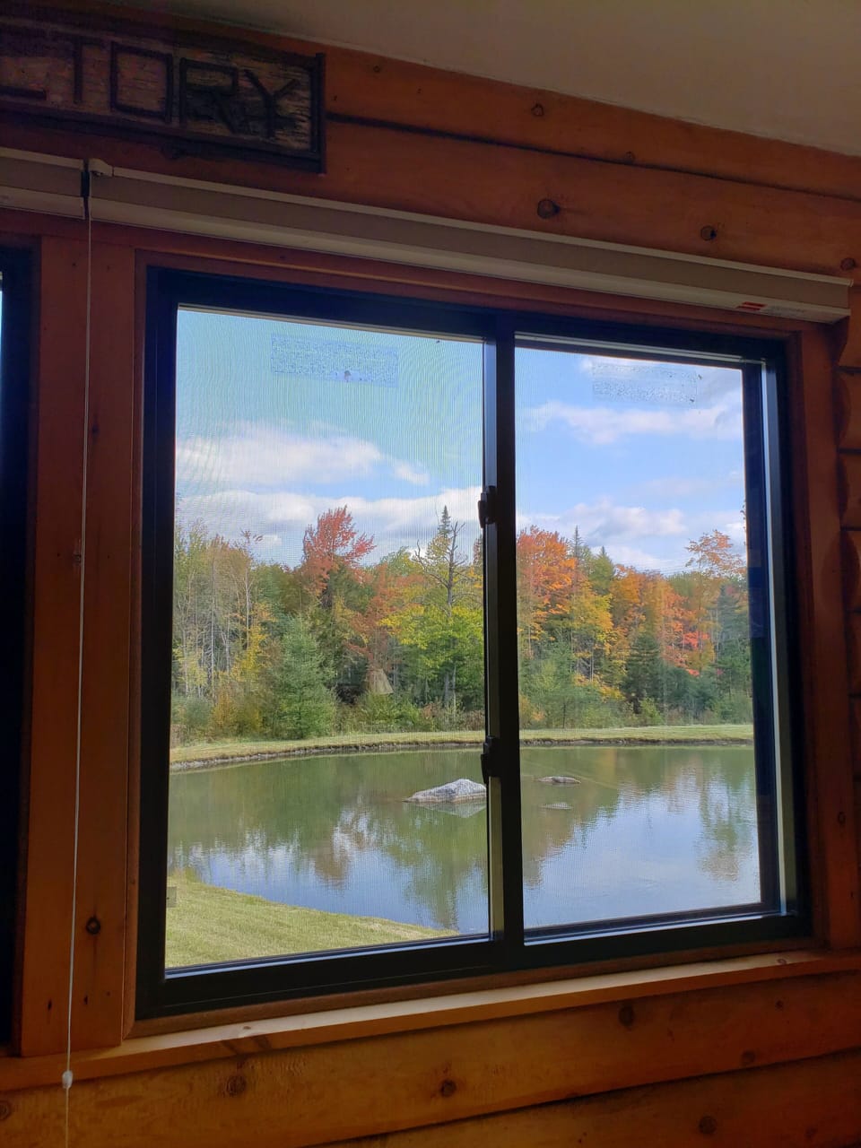 Room with a view!