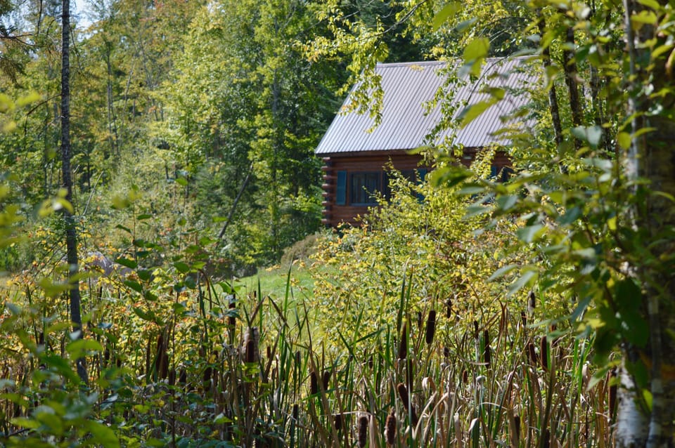 Tranquil seclusion