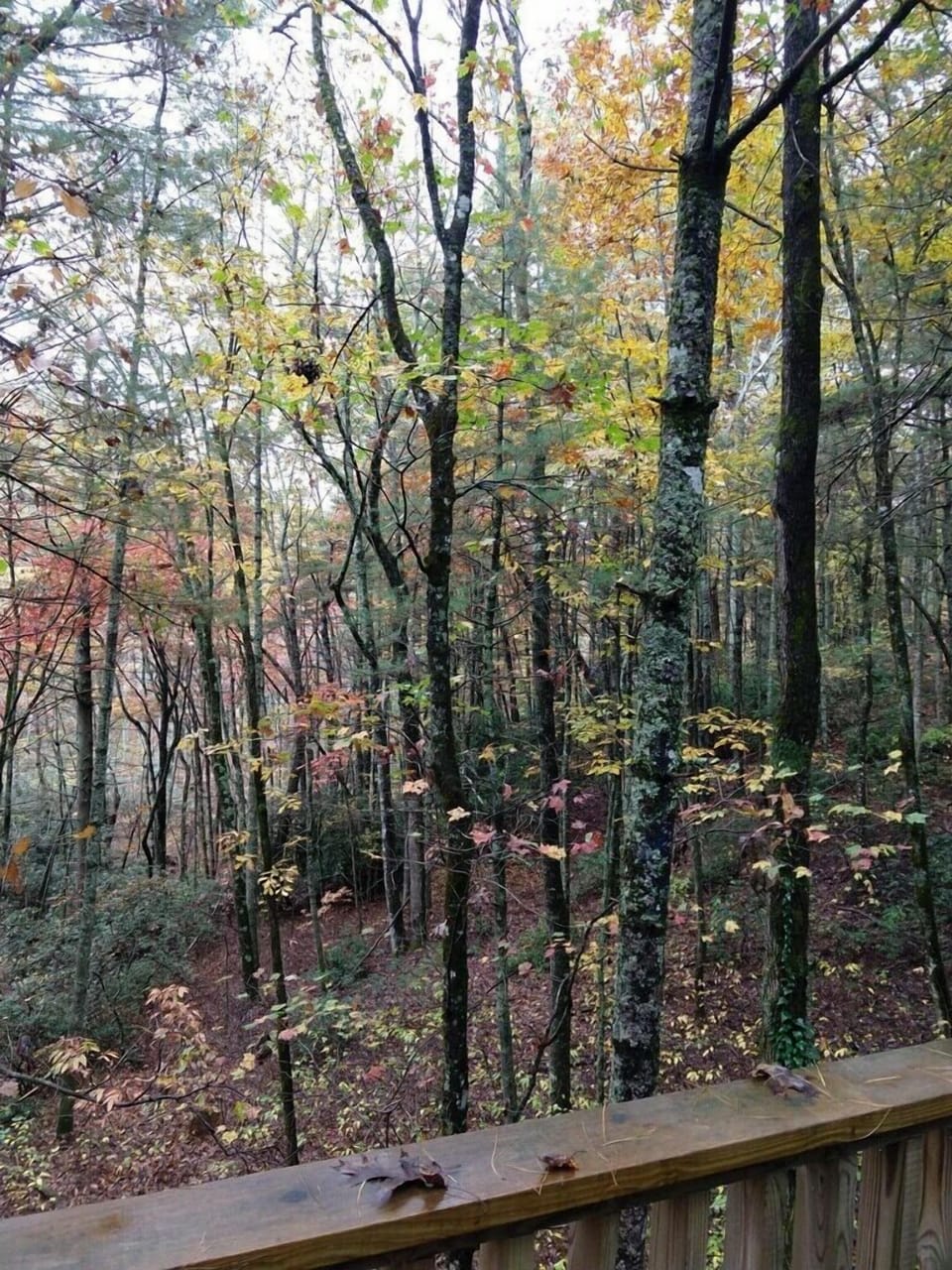 Fall is in the air!