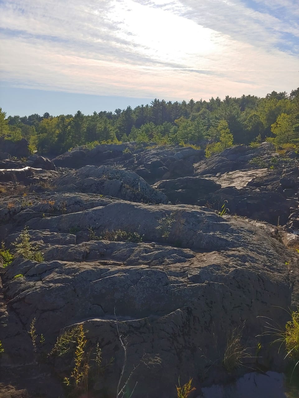 Beautiful area to hike at the edge of the property.