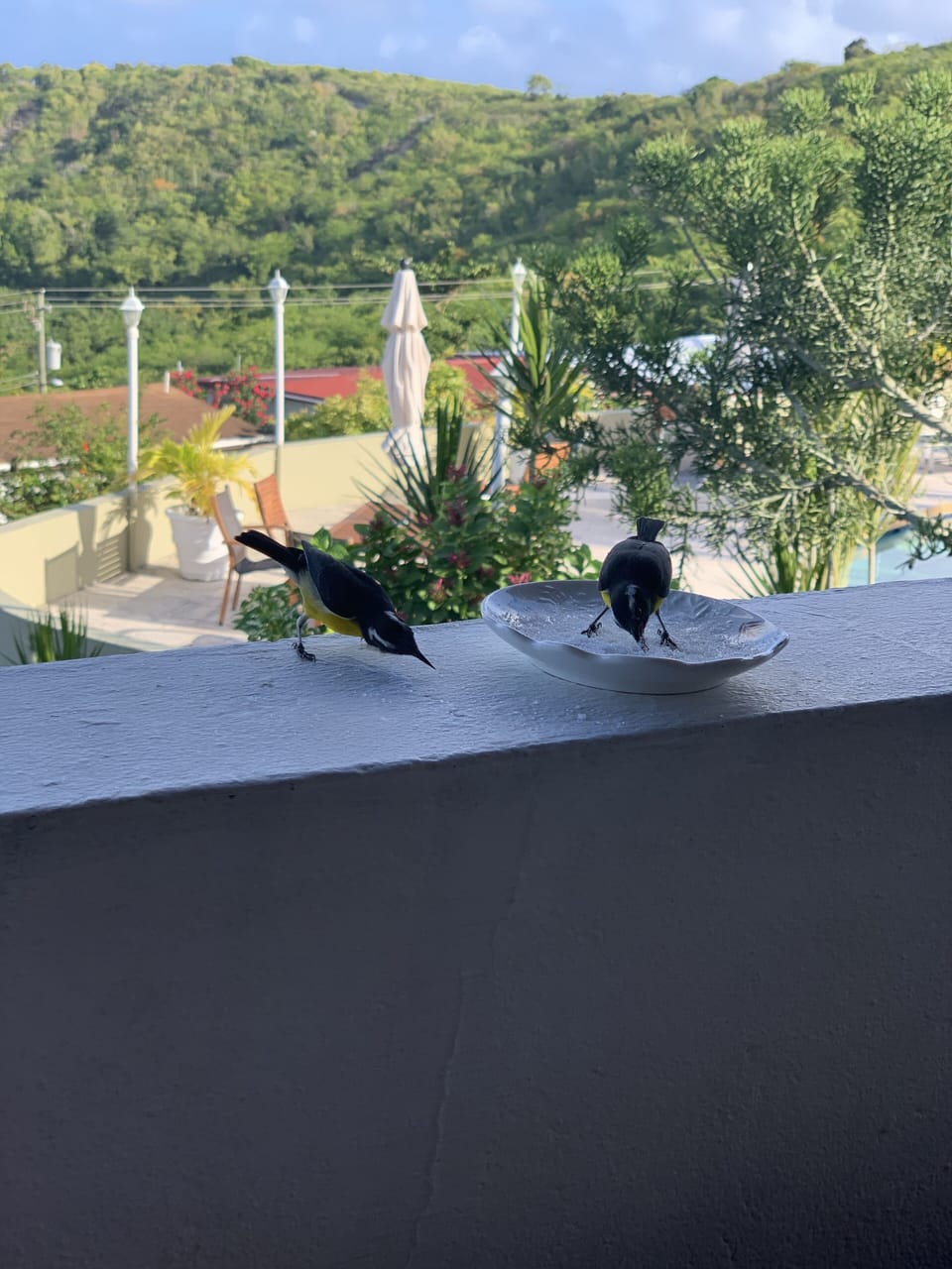 Apartment | View from property