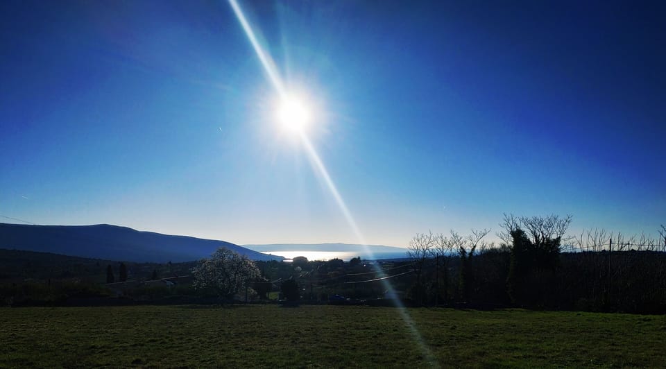 View over the sea from the garden