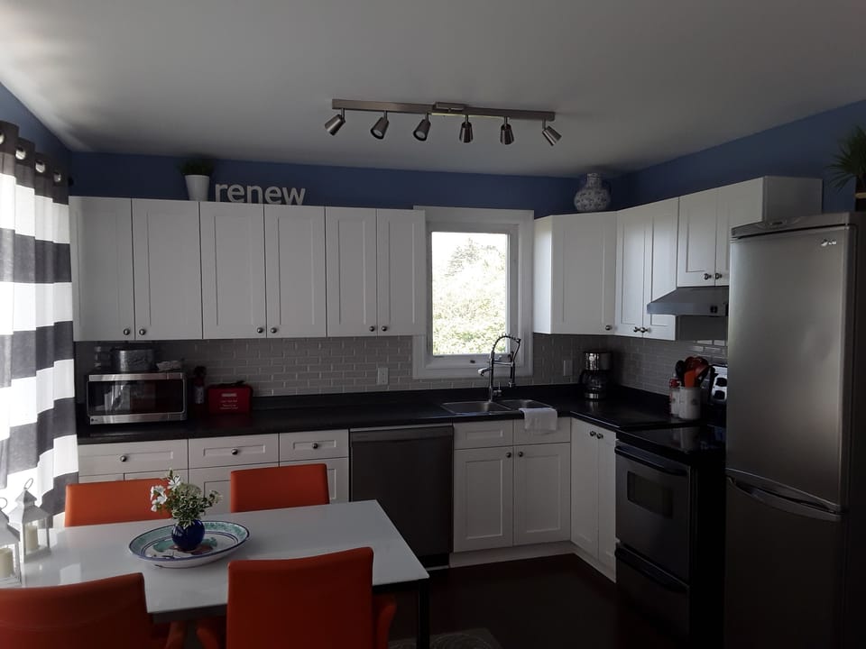new kitchen 2020 with all the amenities and ocean view.