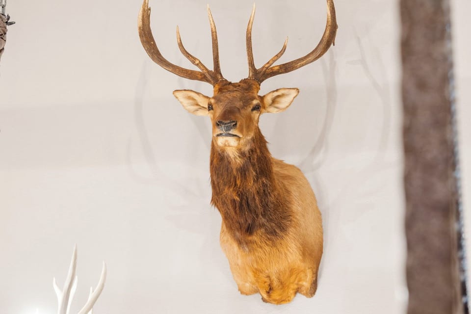 Lodge Decor