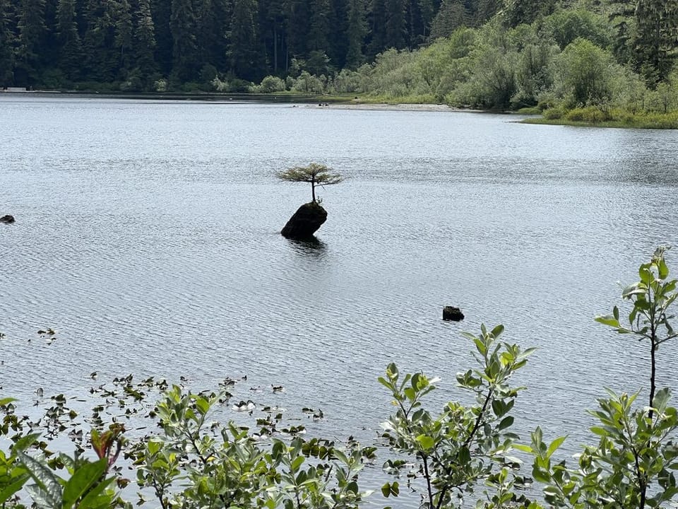 Fairy Lake - just 15 min drive