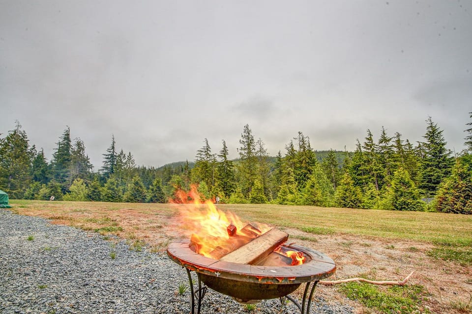 fire pit in the back yard