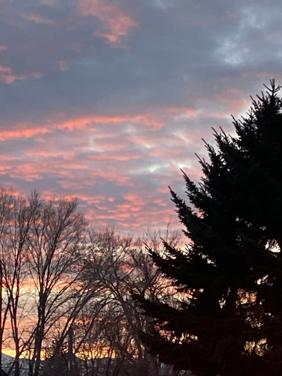 Sunrise from front yard in winter