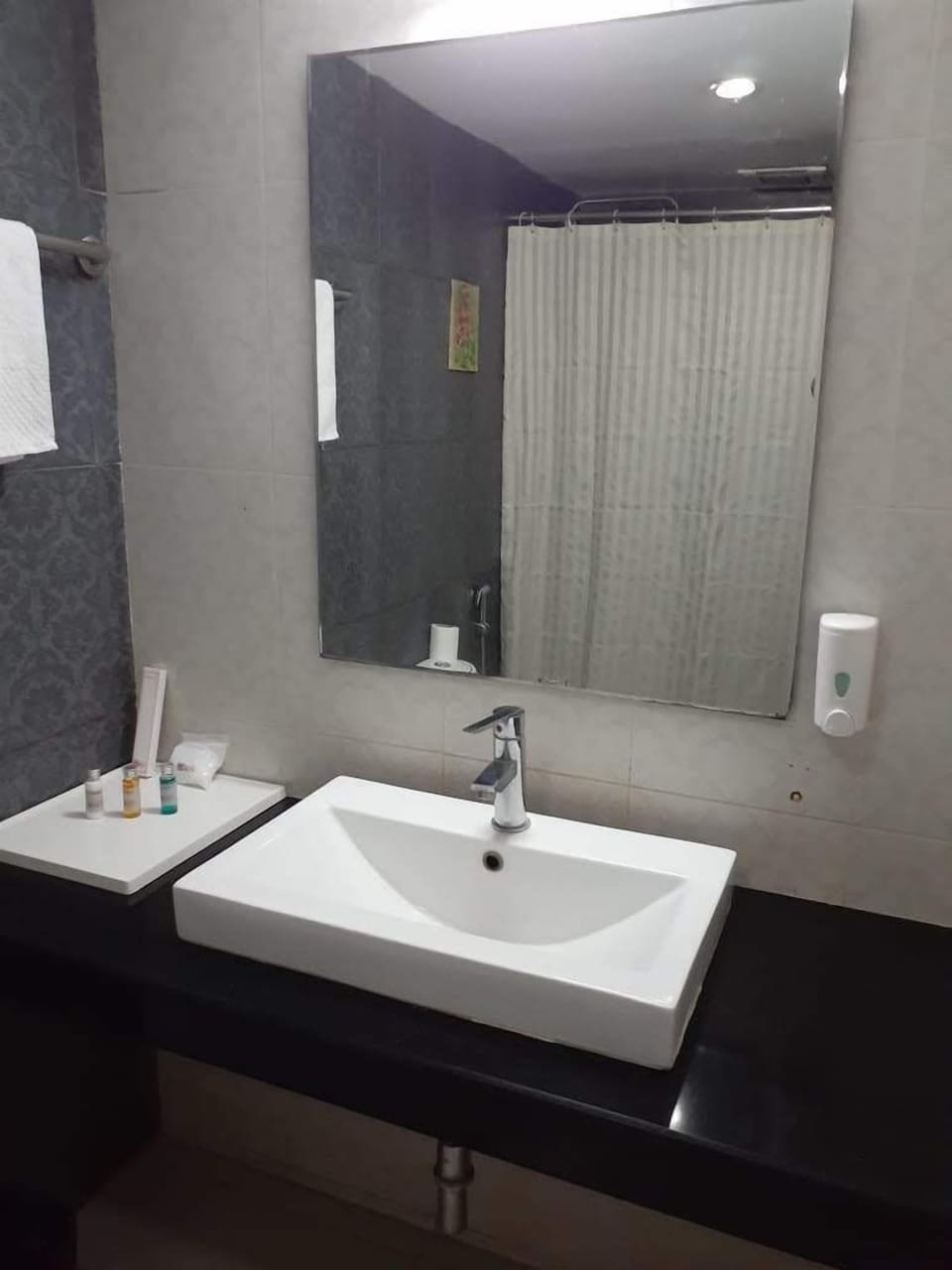 Deluxe Single Room, 1 Twin Bed | Bathroom | Rainfall showerhead, free toiletries, towels, soap