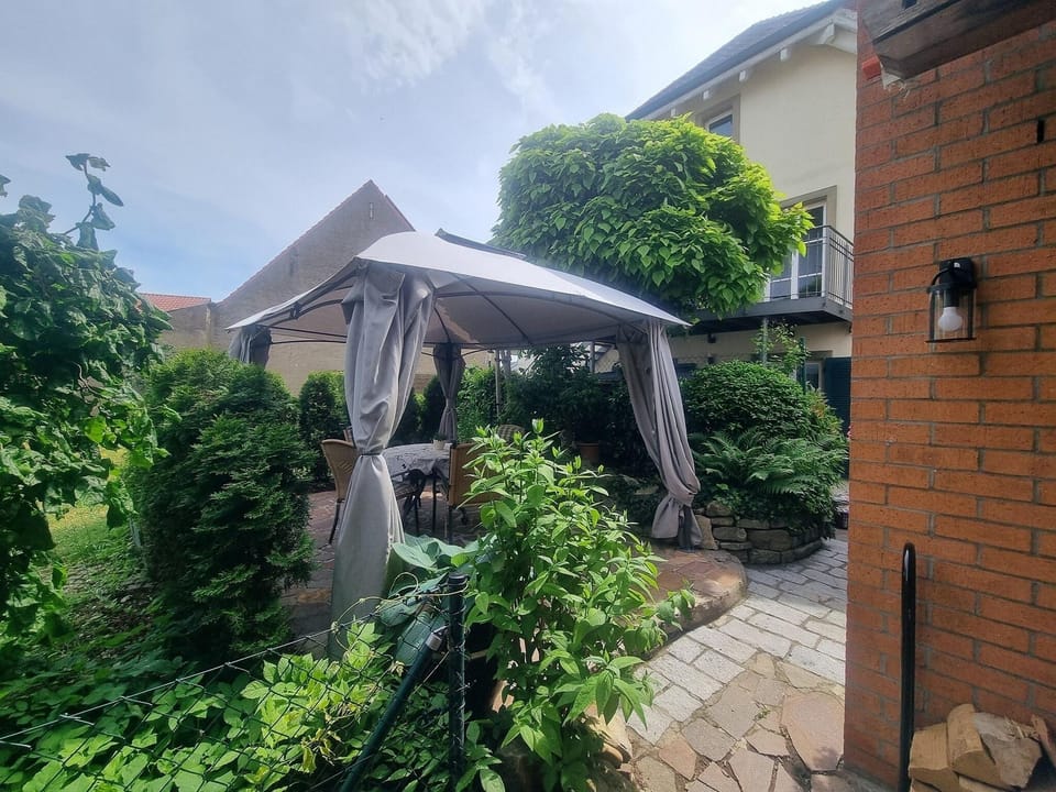 House, Patio | Terrace/patio