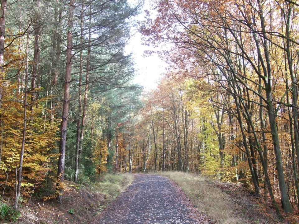 Hiking