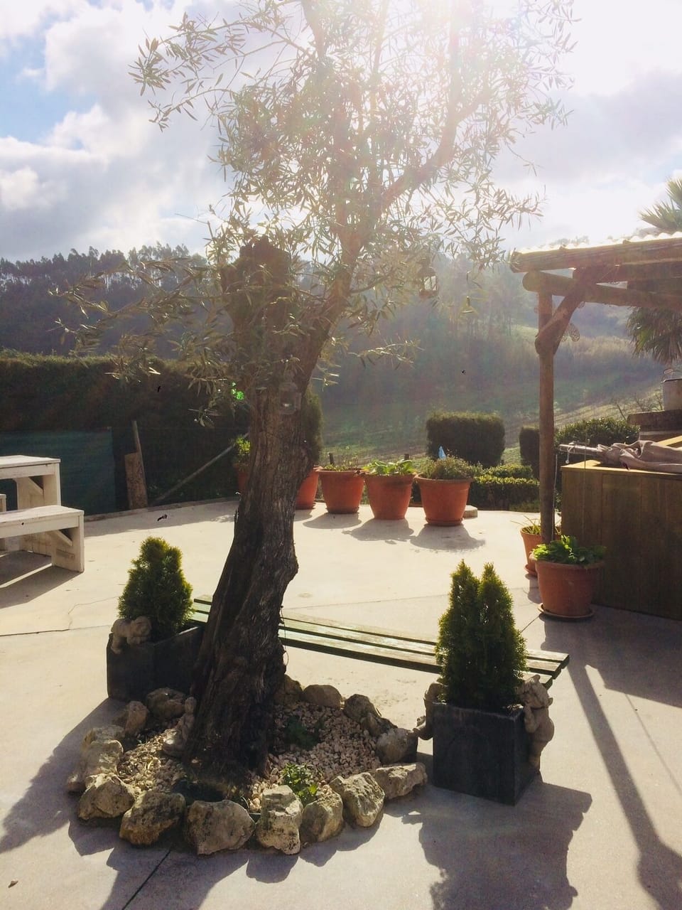 Terrace/patio