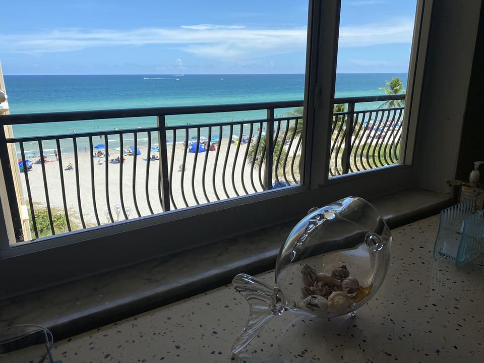 View from living room 