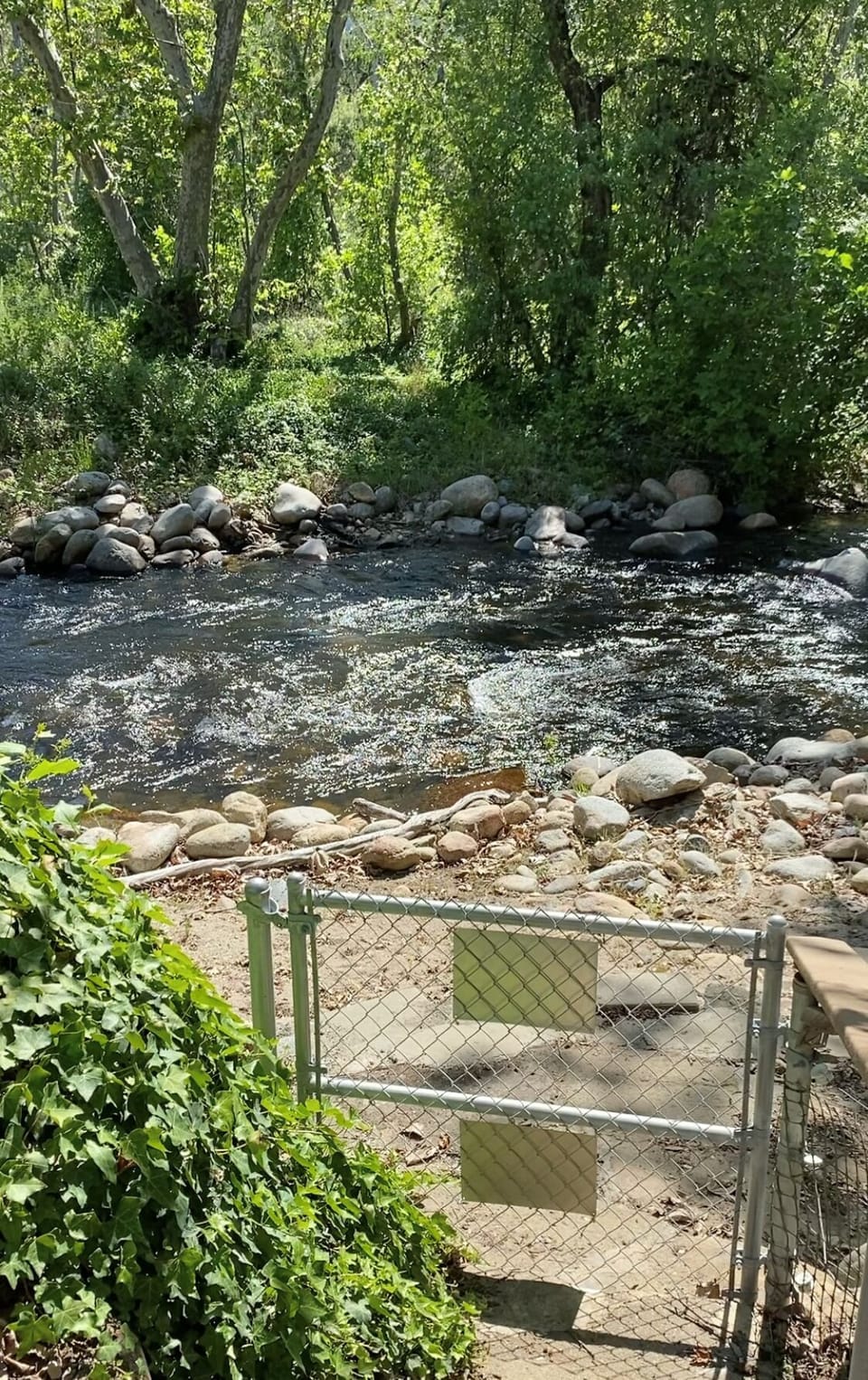 River's stream in July2020
