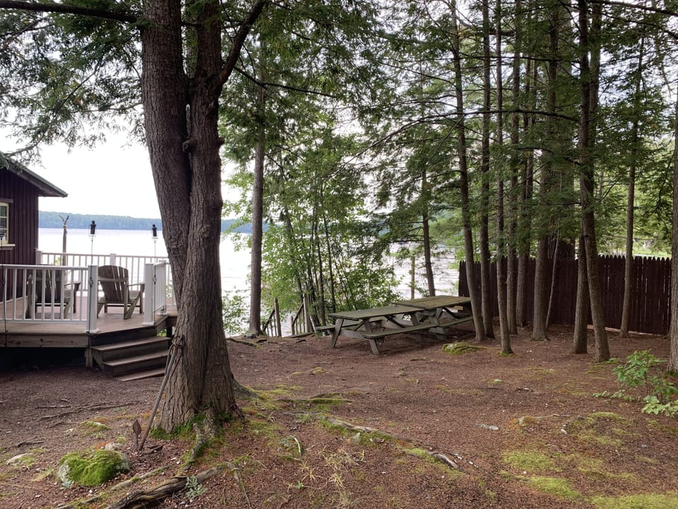 Side yard with steps into the water 