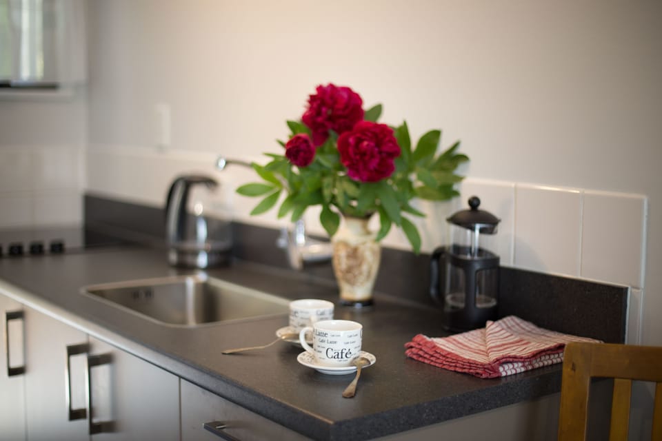 Coffee/tea maker, fridge, microwave, oven