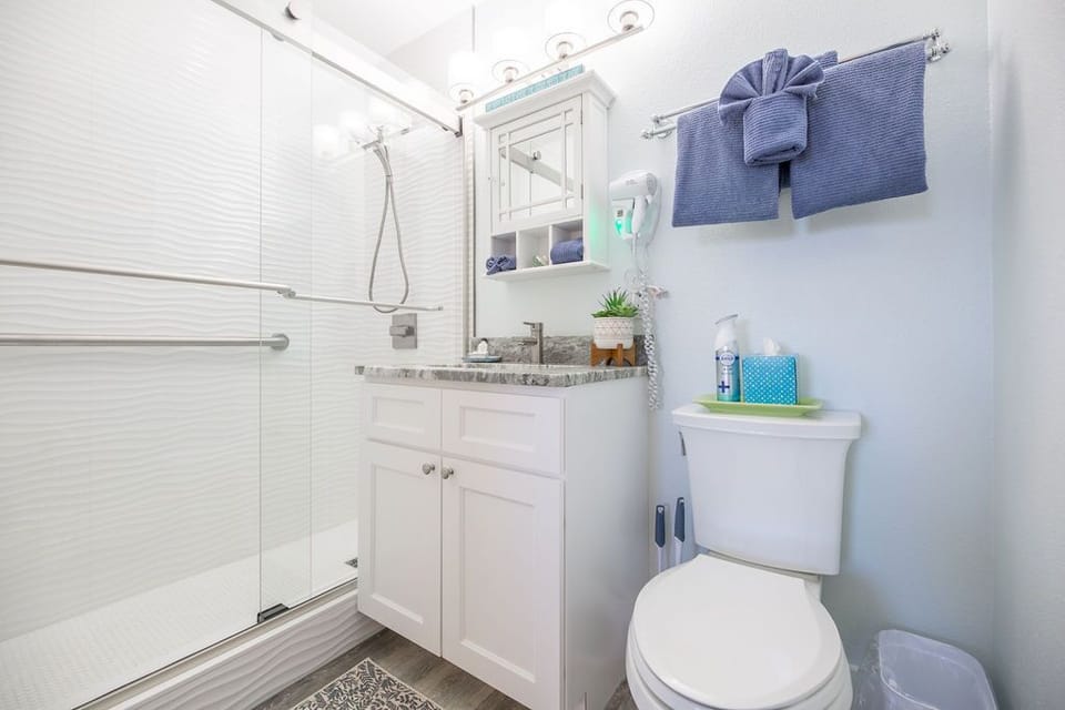 Primary Ensuite Bath with walk in shower, sliding glass doors, adjustable spray shower head, grab bar, and luxury bath amenities. 