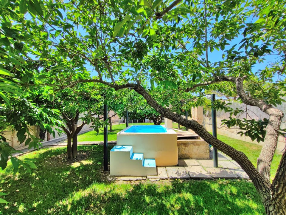 Green garden with swimming pool