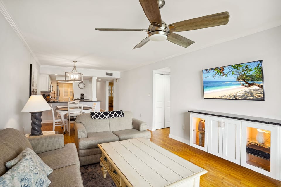 Flat Screen TV in the Living Room