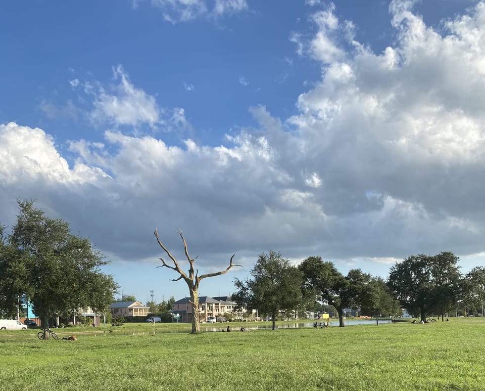 The Bayou - 0.2 Miles 