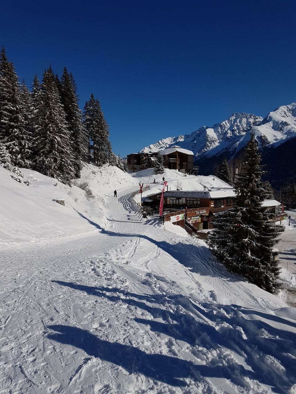 Snow and ski sports