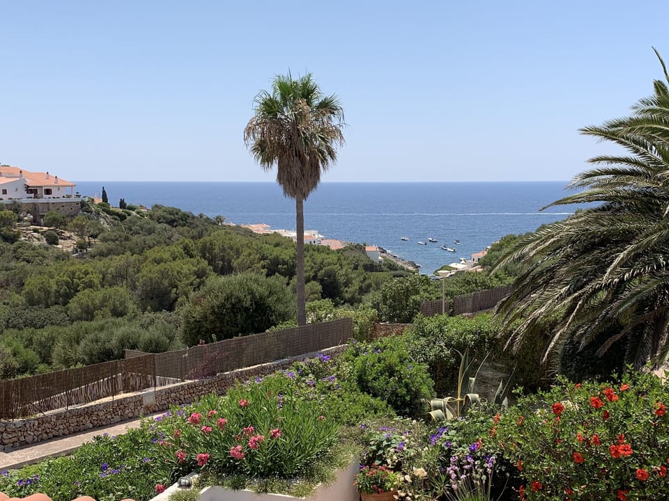 View from the roof terrace