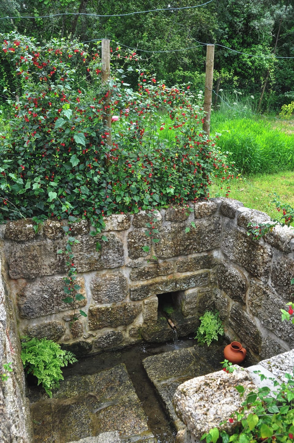 Room, 1 Bedroom, Accessible, Smoking | Property grounds