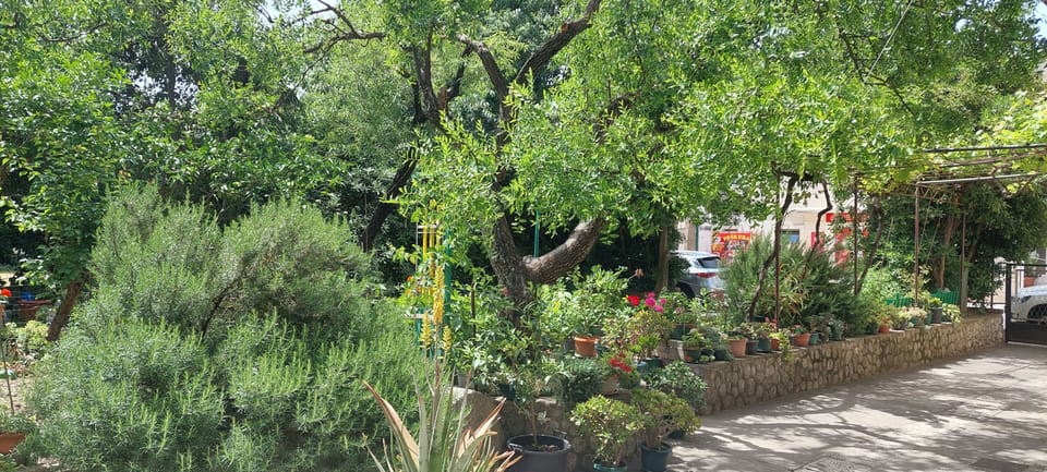 Studio, 1 Bedroom, Smoking, Patio | Property grounds