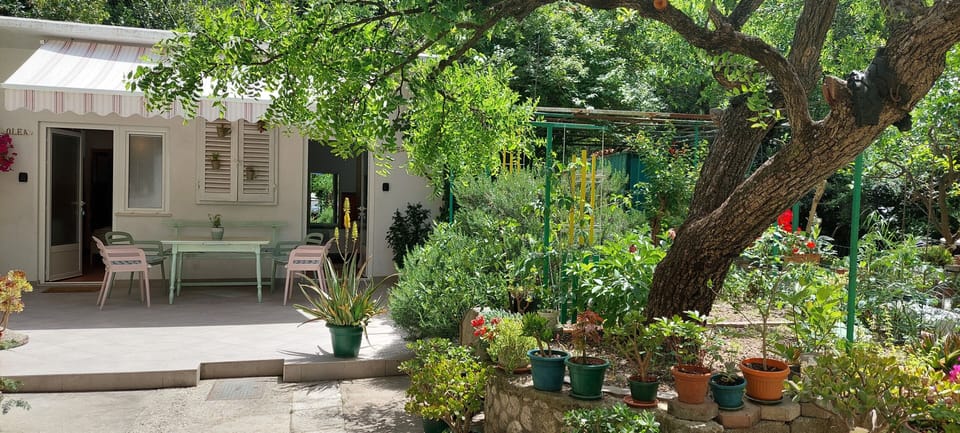 Studio, 1 Bedroom, Smoking, Patio | Outdoor dining