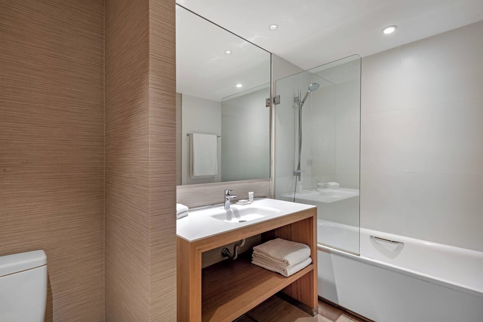 Hair dryer, bidet, towels