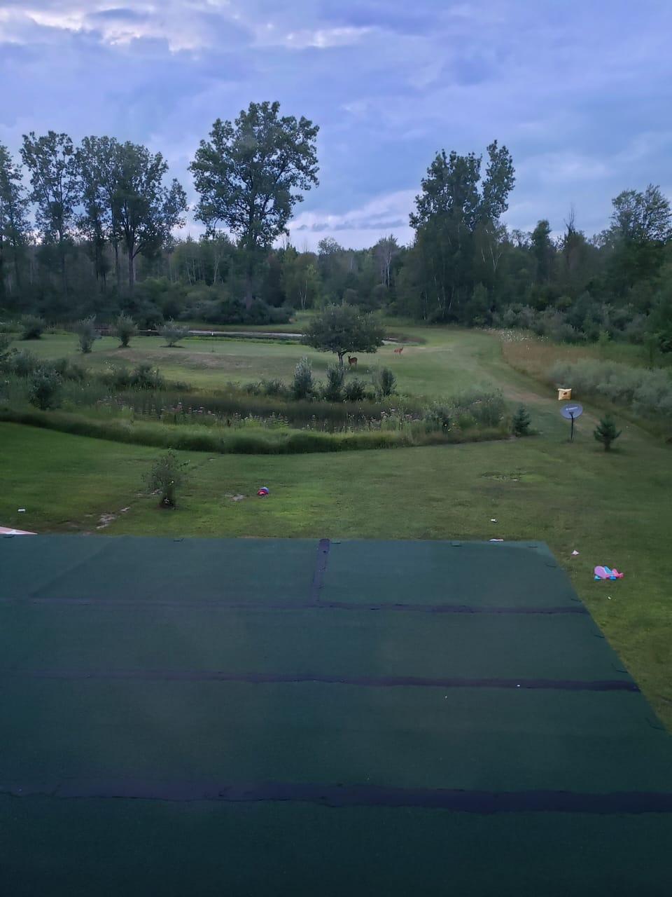 Property grounds