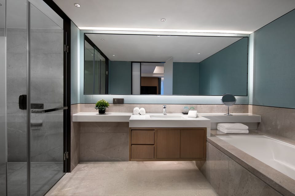 Deluxe Suite | Bathroom | Shower, free toiletries, hair dryer, slippers