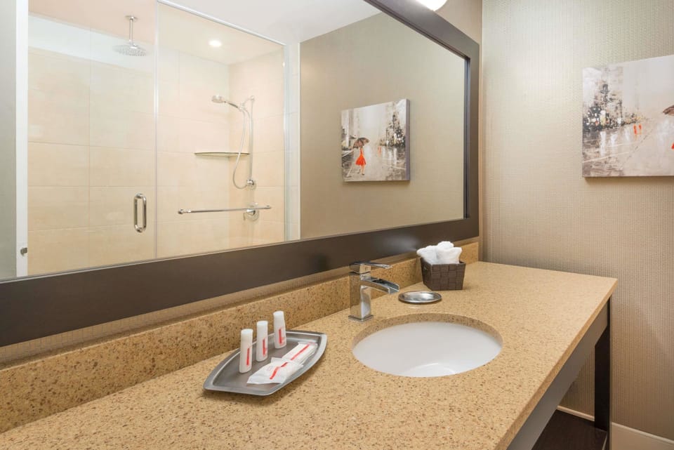 Deluxe Room, 1 King Bed, Non Smoking | Bathroom | Combined shower/tub, eco-friendly toiletries, hair dryer, towels